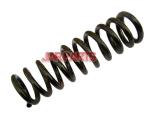 1243241104 Coil Spring