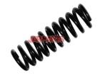 1163240804 Coil Spring