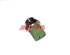 251959481K Temperature Switch