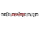 028109101F Camshaft