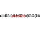 075109101A Camshaft