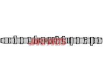 075109101A Camshaft