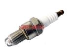 N01781166 Spark Plug