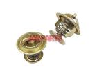 068121113H Thermostat