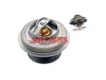 273480 Thermostat