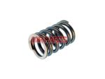 9135130 Coil Spring