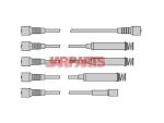 1612531 Ignition Wire Set
