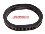 17220PM3003 Air Filter