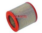 1384034 Air Filter