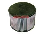 178010C010 Air Filter