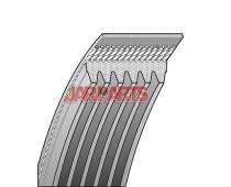 6PK1256 V-Ribbed Belt