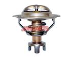 21200V2705 Thermostat