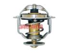 2120005D10 Thermostat