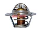 8AB115171 Thermostat