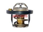 1E0515171A Thermostat