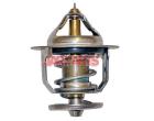 2550022250 Thermostat