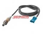 16282T Oxygen Sensor