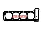 607984 Cylinder Head Gasket