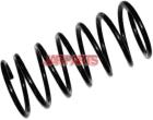 171511105H Coil Spring