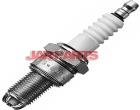 101000001AD Spark Plug