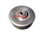 128119 Idler Pulley