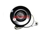 98BB19A216A Idler Pulley