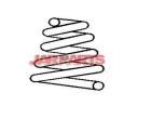 4813142021 Coil Spring