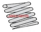 4813133750 Coil Spring