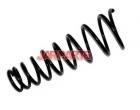 5401090J73 Coil Spring