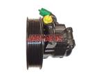 1569693 Power Steering Pump