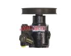 1987638 Power Steering Pump