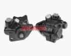 4500053 Power Steering Pump