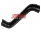 2025012982 Radiator Hose