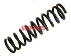 31331133336 Coil Spring