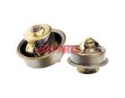 273459 Thermostat