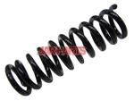 2023242004 Coil Spring