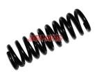 2023210004 Coil Spring